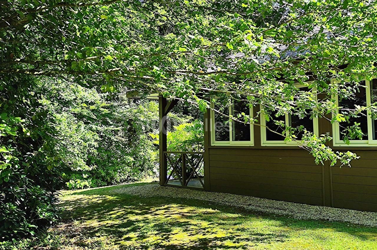 Maison en bois entourée de végétation luxuriante, avec des arbres projetant de l'ombre sur une pelouse.