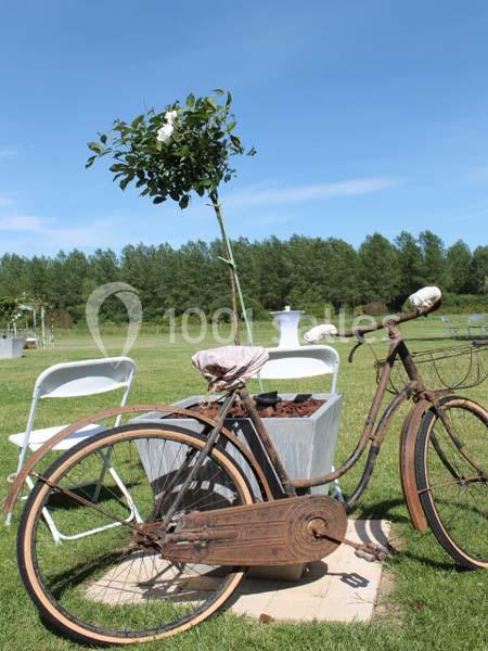 Les Ecuries De Bayencourt - galerie - photo 18