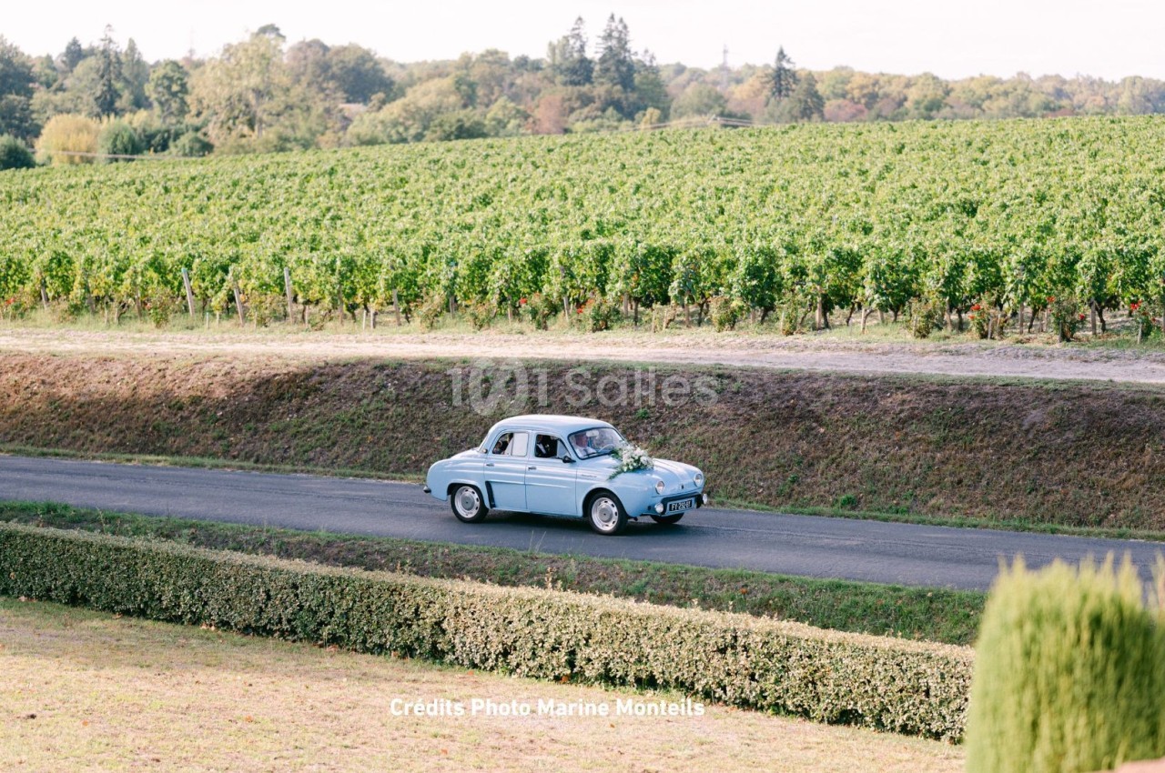 Une voiture ancienne bleue roule sur une route bordée de vignes et de haies dans un paysage champêtre.