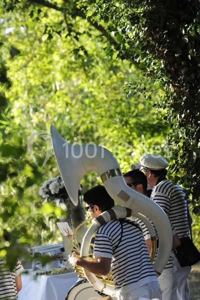 Musiciens en uniforme rayé jouant du tuba lors d'un événement en extérieur entouré de verdure.