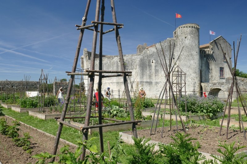 Château Saint Jean D'angle - photo 4