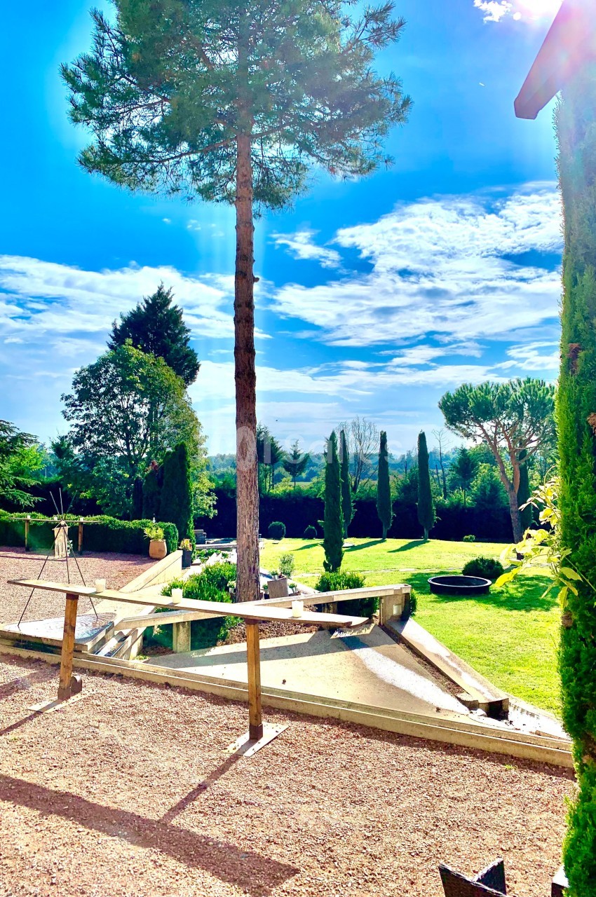 Jardin paysager avec pelouse, arbres taillés, bassin d'eau et ciel bleu en arrière-plan.