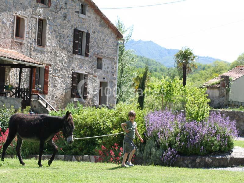 Mas Manyaques - galerie - photo 4