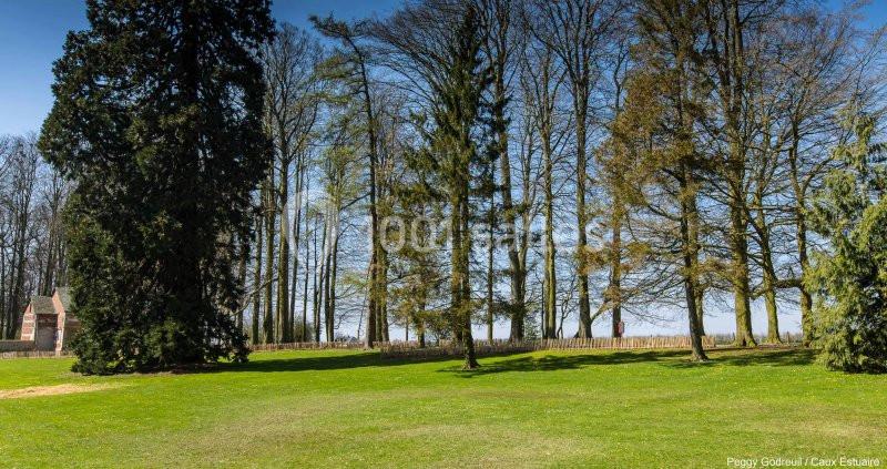 Pelouse verdoyante bordée d'arbres hauts sous un ciel bleu clair, avec une petite structure en briques à gauche.