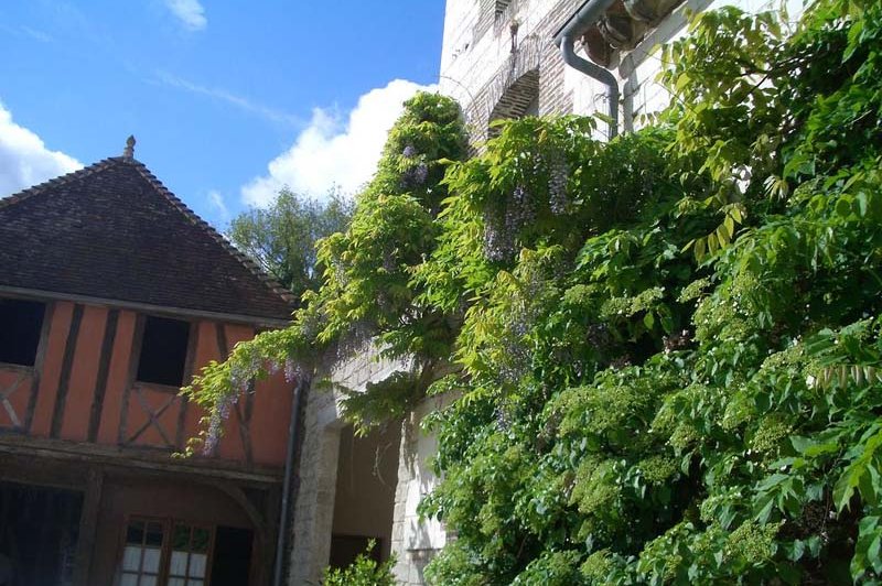 Château De Roises - photo 5