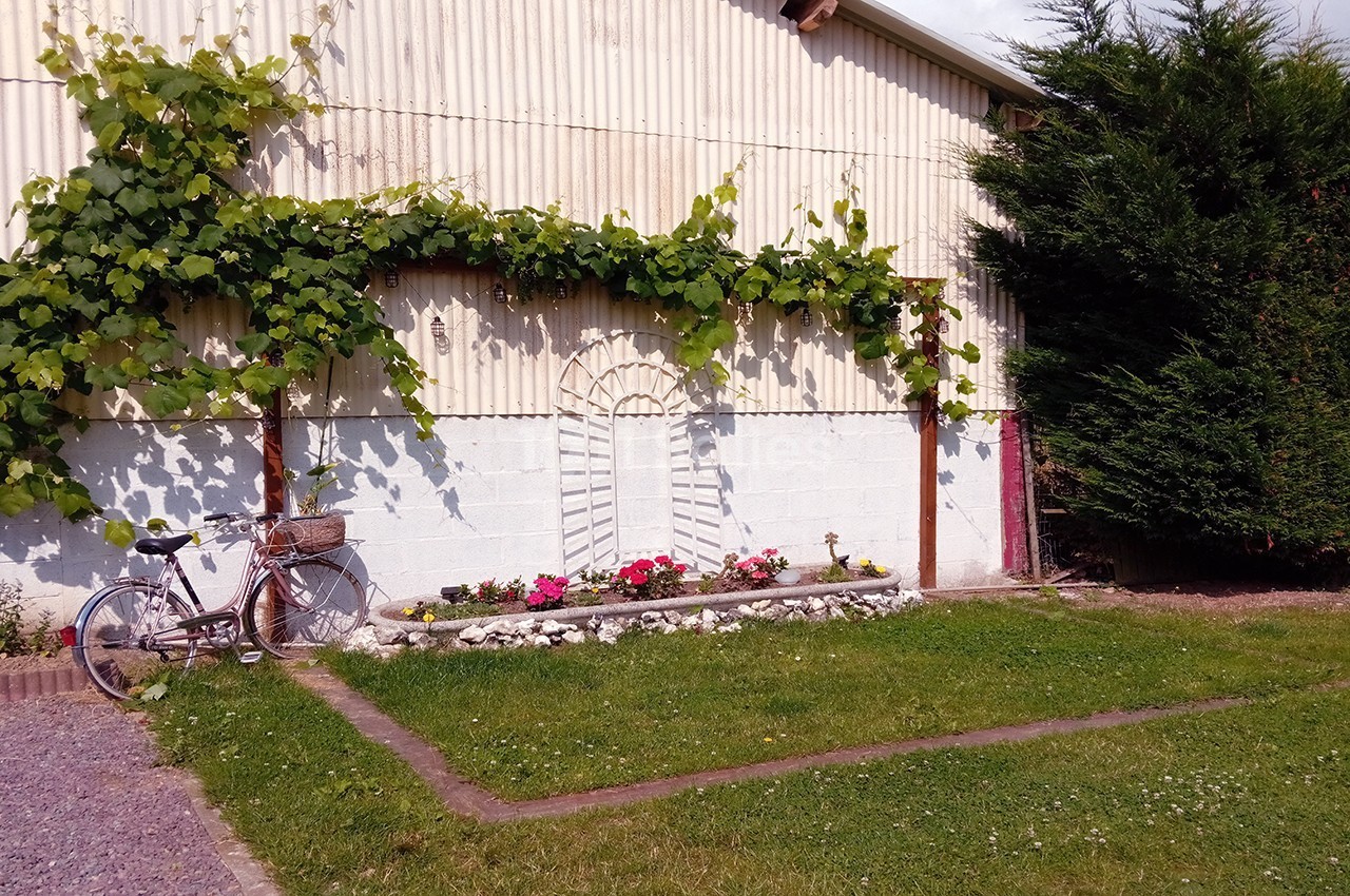 Un vélo ancien posé près d'un mur blanc orné de vigne grimpante et d'un parterre de fleurs colorées.