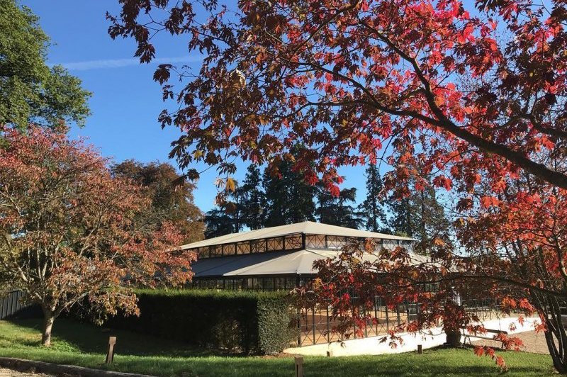 L'Orangerie du Château de Thoiry - photo 2