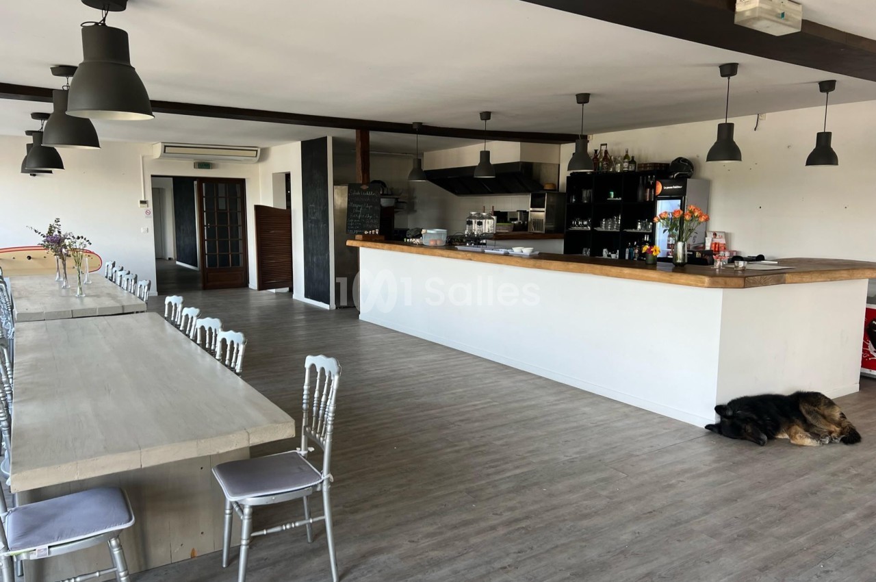 Salle spacieuse avec un long comptoir, une grande table en bois, des chaises argentées et un chien allongé au sol.