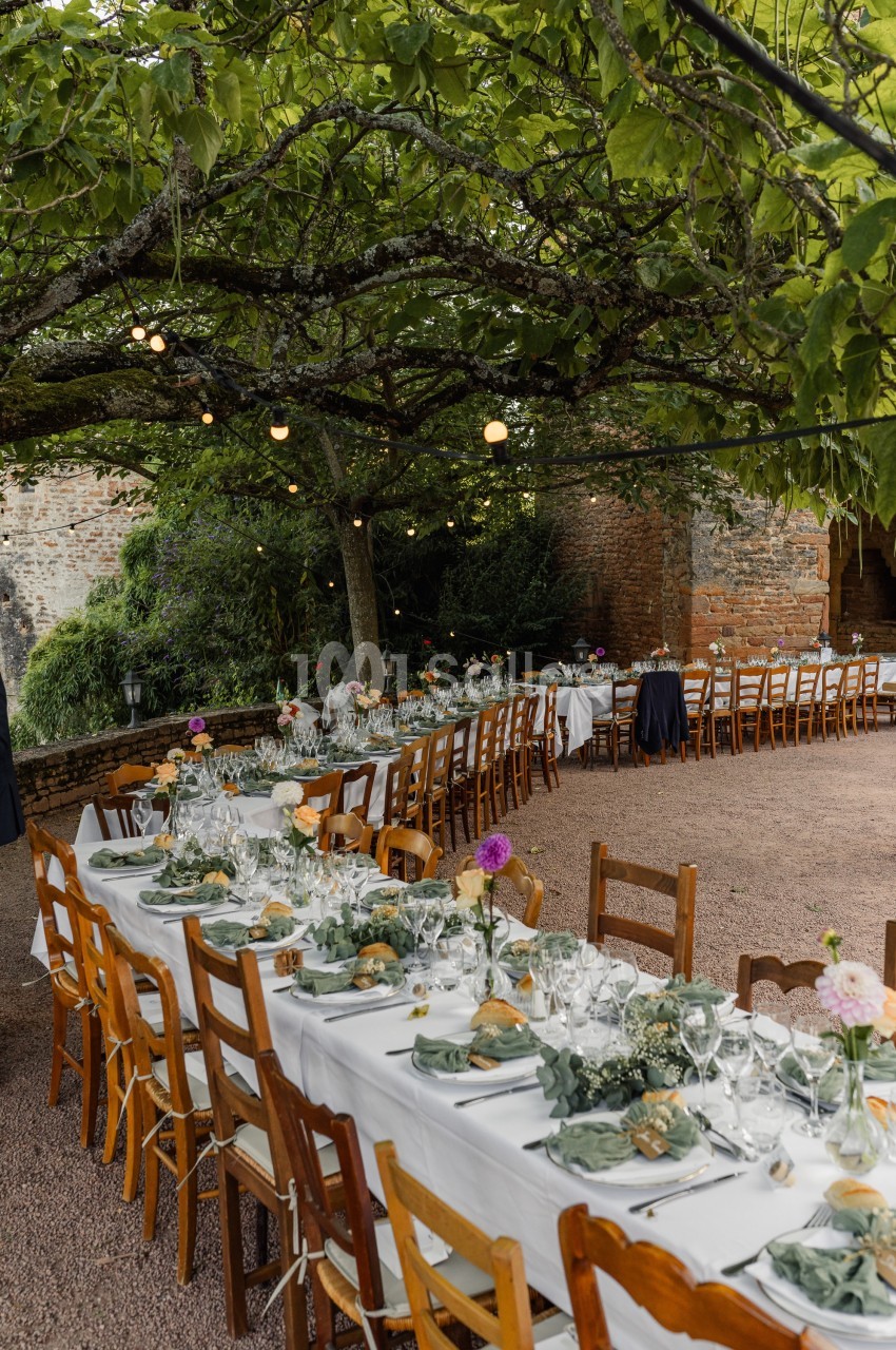 Tables de banquet dressées en extérieur sous des arbres, décorées de fleurs et de vaisselle élégante.