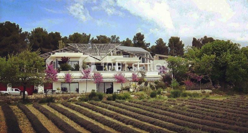 Maison moderne entourée d'arbres, avec un champ de lavande au premier plan et un ciel partiellement nuageux.