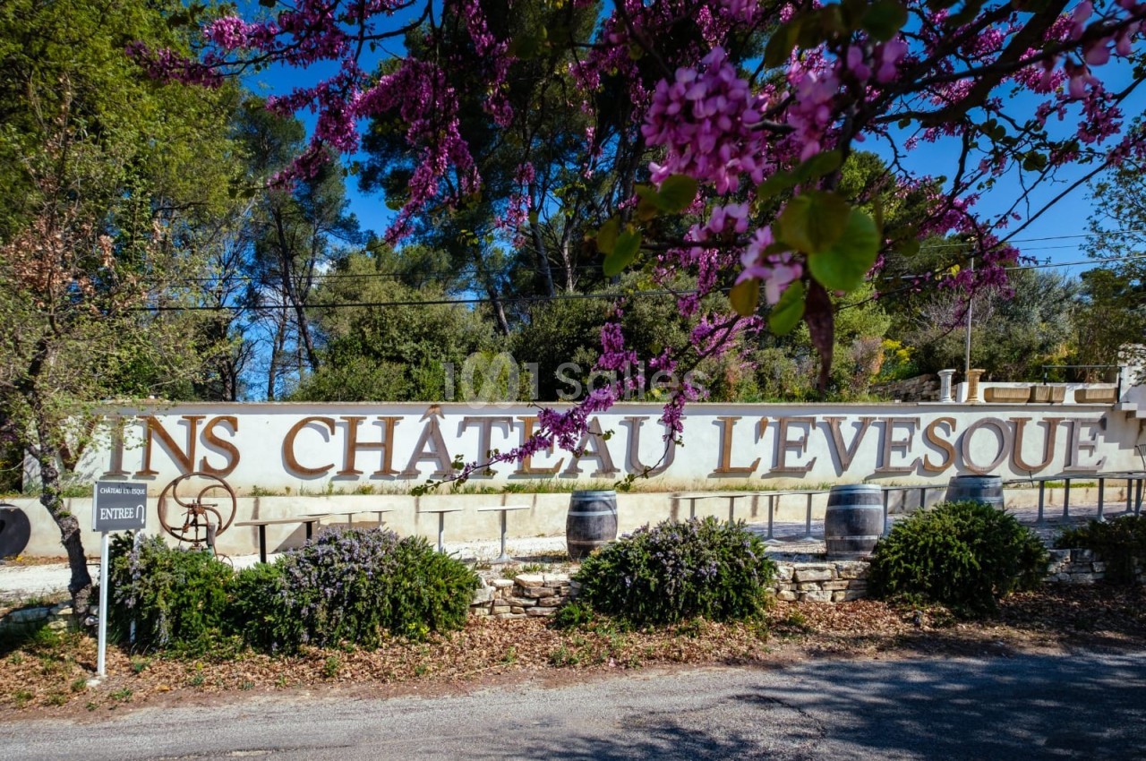 Mur avec l'inscription ’Vins Château Lévesque’, entouré de végétation et de fleurs violettes au premier plan.
