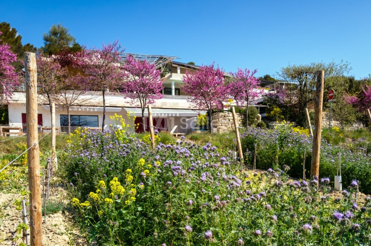 Champ fleuri avec des fleurs violettes et jaunes devant un bâtiment moderne entouré d'arbres en fleurs.