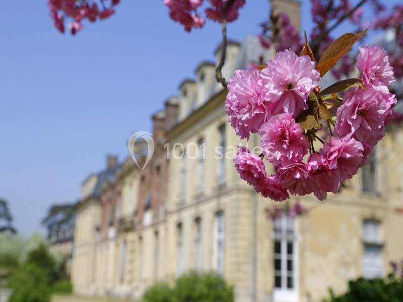 Fleurs de cerisier roses en gros plan devant un bâtiment ancien en pierre sous un ciel bleu.