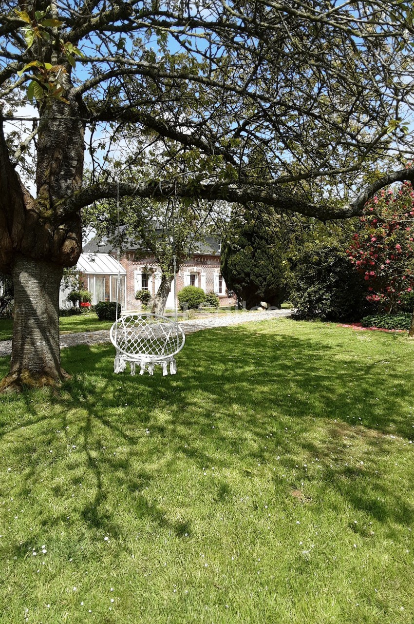 Jardin verdoyant avec une chaise blanche sous un arbre, devant une maison en pierre et des arbustes fleuris.