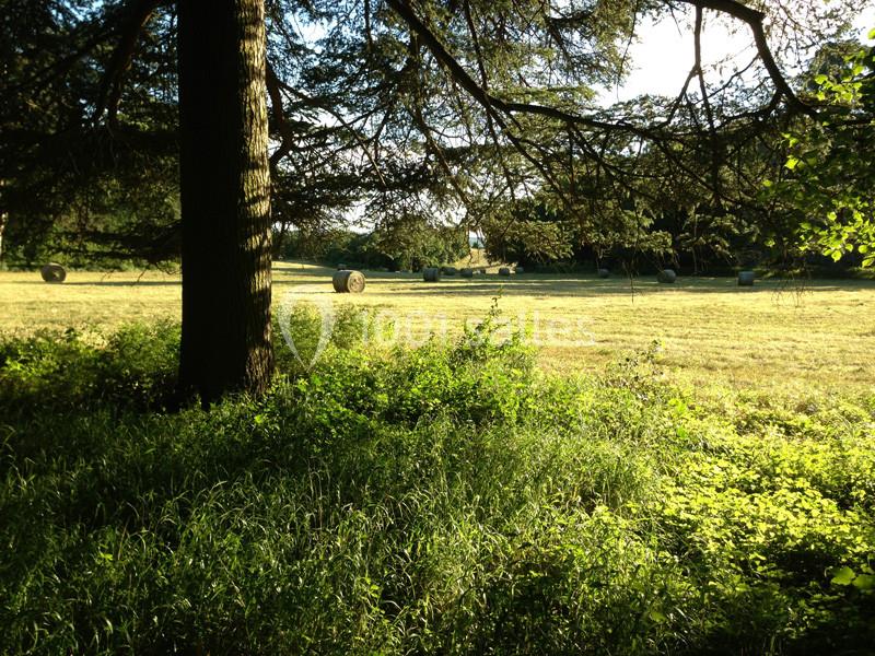 Domaine de Chanille - galerie - photo 10