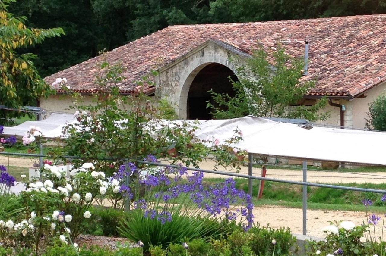 Le Chai De Montaulieu - galerie - photo 5