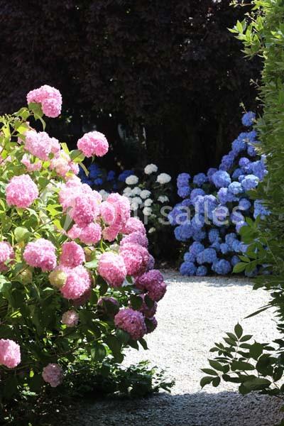 Villa Corina - galerie - photo 9
