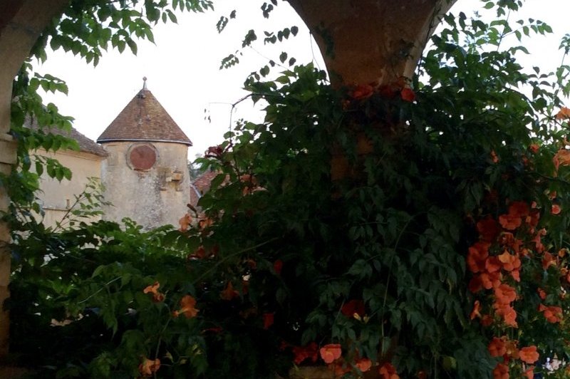 Château De Cypierre - photo 4