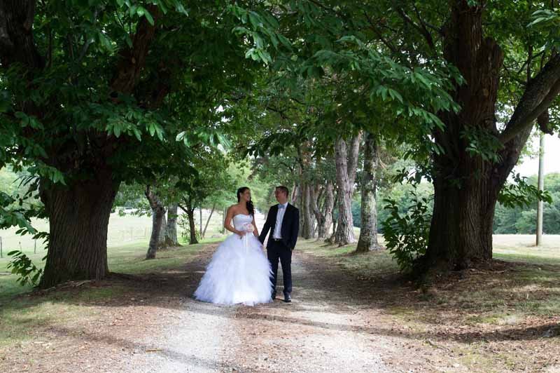 Château Lartus - photo 5