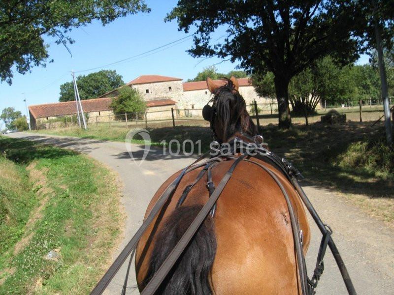 Vue depuis une calèche tirée par un cheval brun sur une route de campagne bordée d'arbres et de bâtiments en pierre.