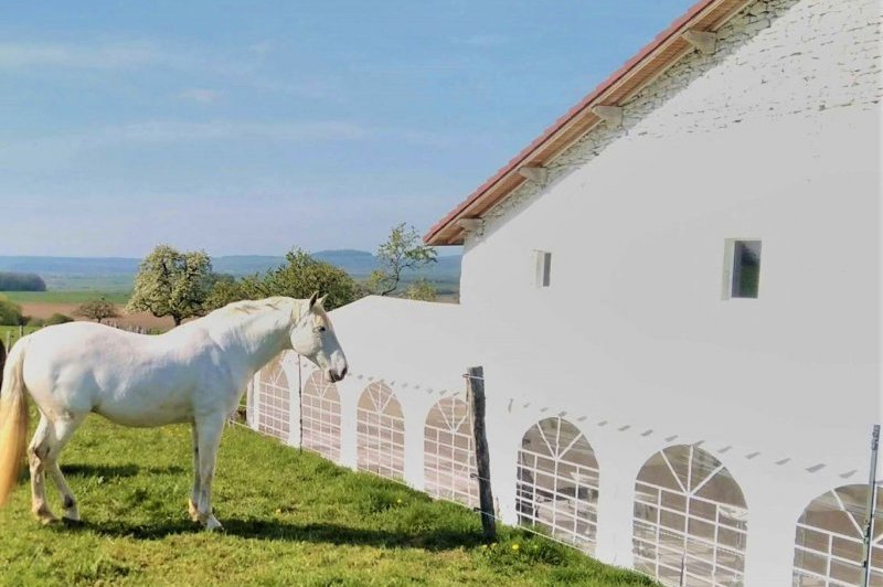 L'ecurie Vaudémont - photo 3