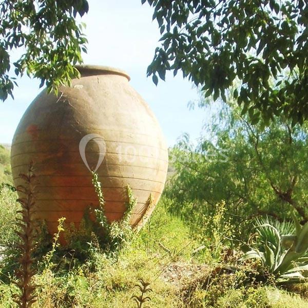 Grande jarre en terre cuite posée dans un jardin verdoyant entouré de plantes et d'arbres.