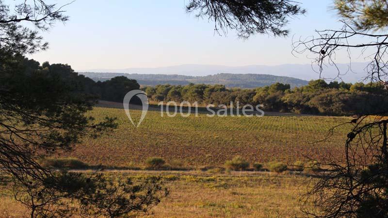 Les Hauts De Montrabech - galerie - photo 4