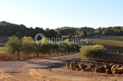 Les Hauts De Montrabech - photo 3