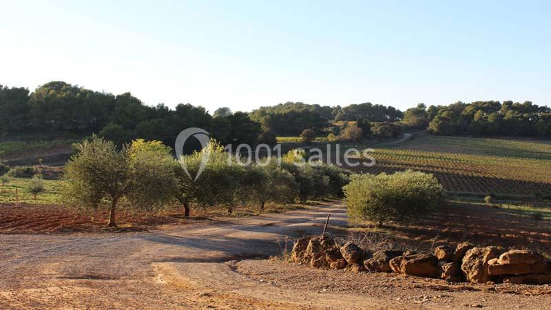 Les Hauts De Montrabech - galerie - photo 3