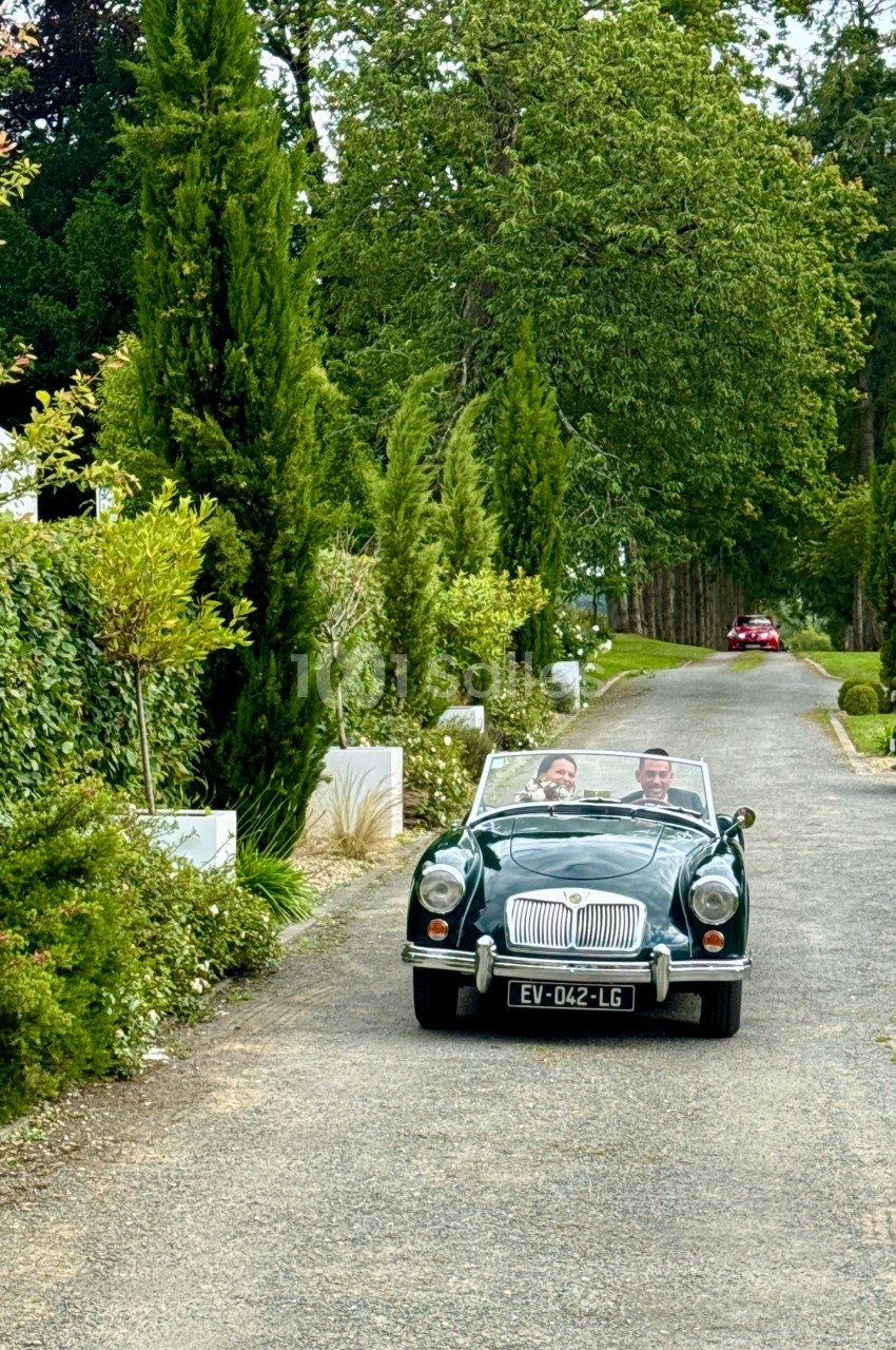 Une voiture décapotable ancienne roule sur une allée bordée d'arbres et de buissons verdoyants.