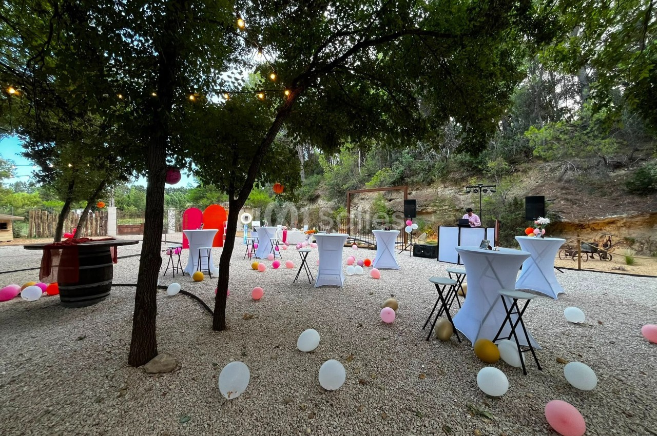 Espace extérieur décoré pour un événement, avec tables hautes, ballons colorés et guirlandes lumineuses sous les arbres.