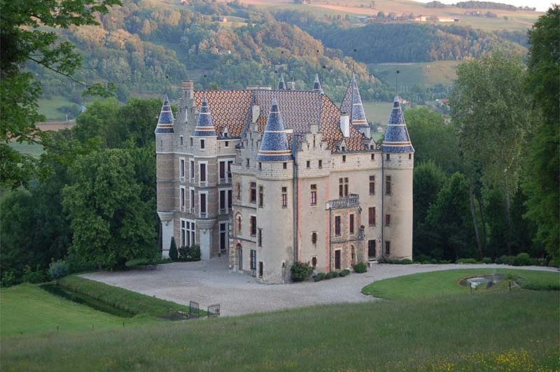 Château De Pupetières - photo 5
