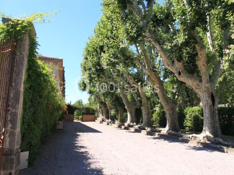 Château Sainte Roseline - galerie - photo 13