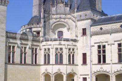 Château De Brézé - photo 4