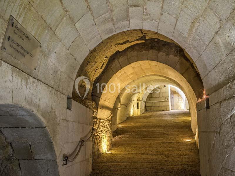 Château De Brézé - galerie - photo 18