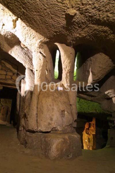 Château De Brézé - galerie - photo 15
