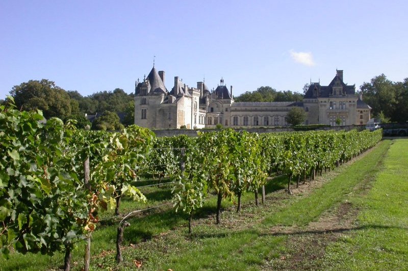 Château De Brézé - photo 2