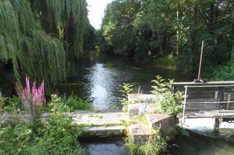 Le Moulin de Plachy - photo 1