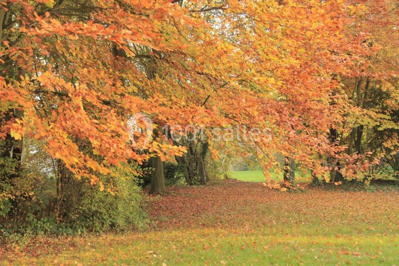 Le Moulin de Plachy - galerie - photo 8