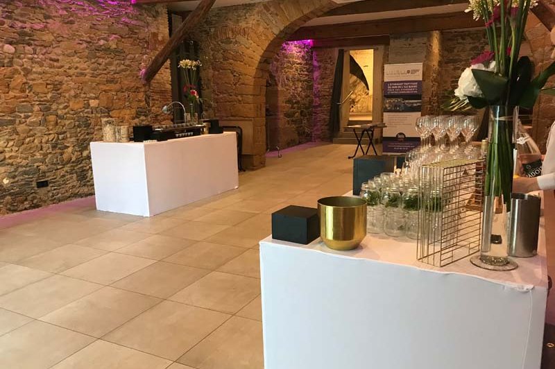 Domaine de l'Ile Barbe - photo 5