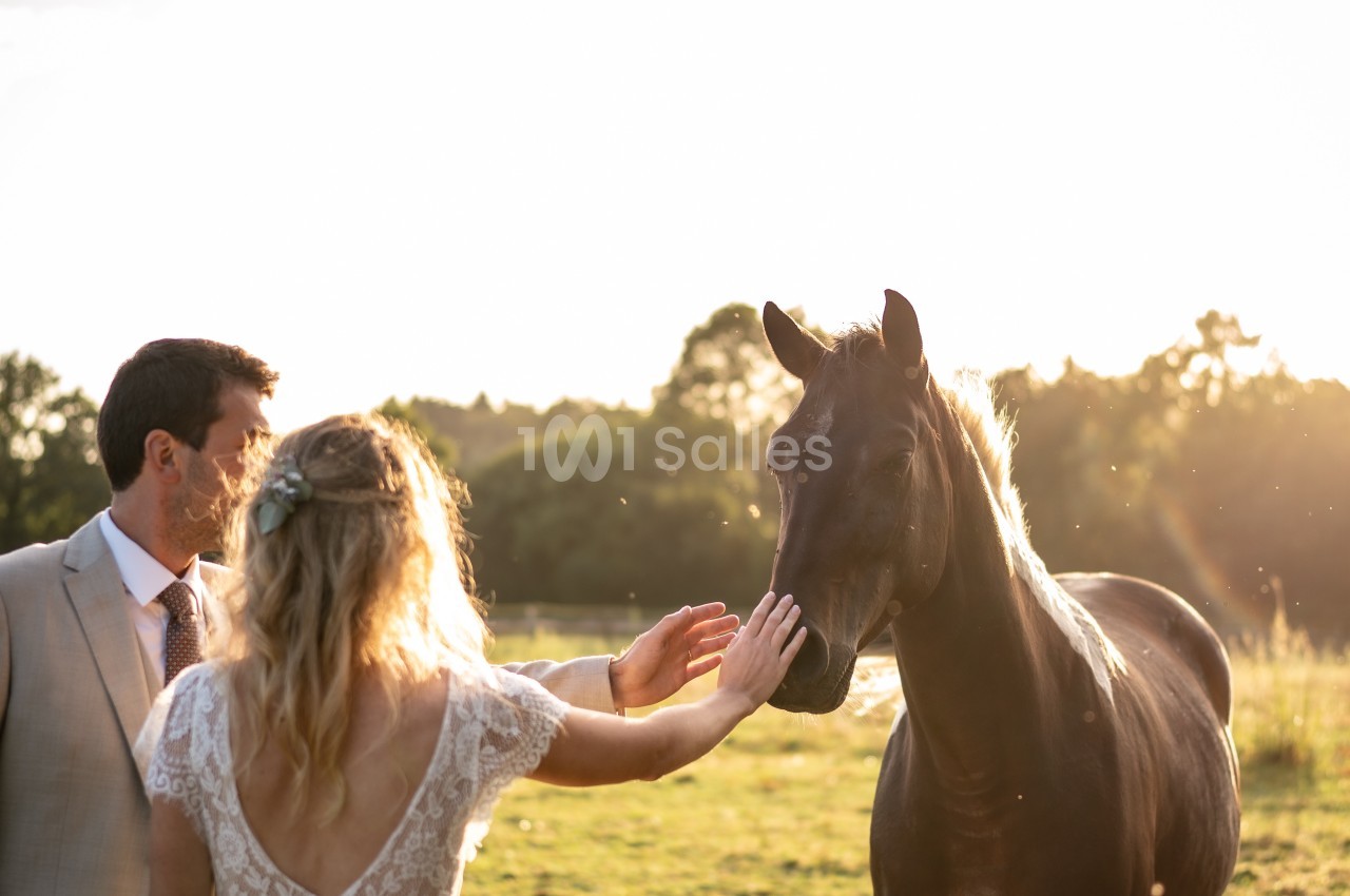 Un couple en tenue de mariage caresse un cheval noir dans un pré au coucher du soleil.