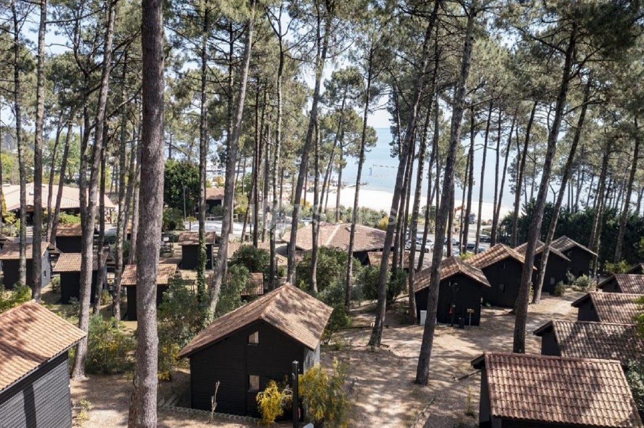 Vue aérienne d'un village de chalets en bois entouré de pins, avec la mer visible en arrière-plan.
