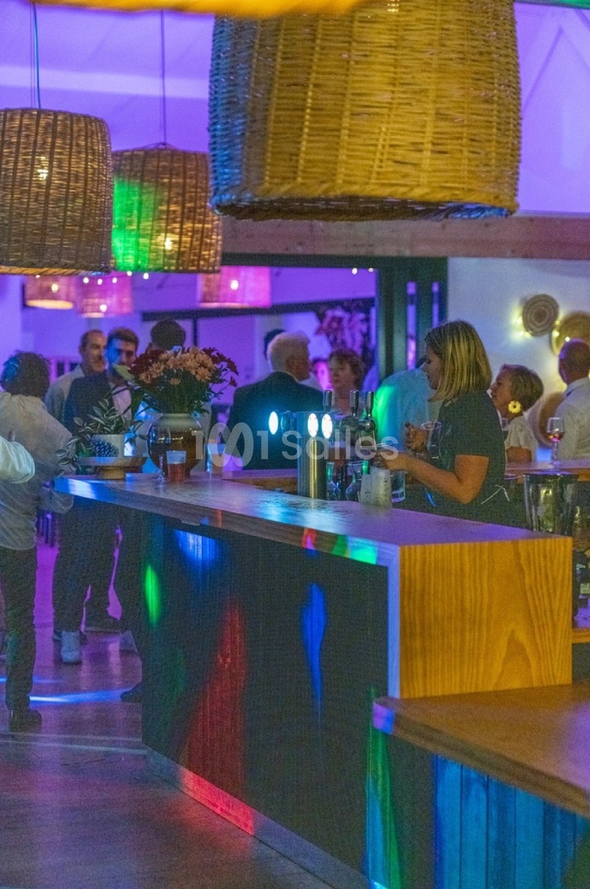 Bar animé avec des lumières colorées, des clients discutant et des paniers suspendus en décoration.
