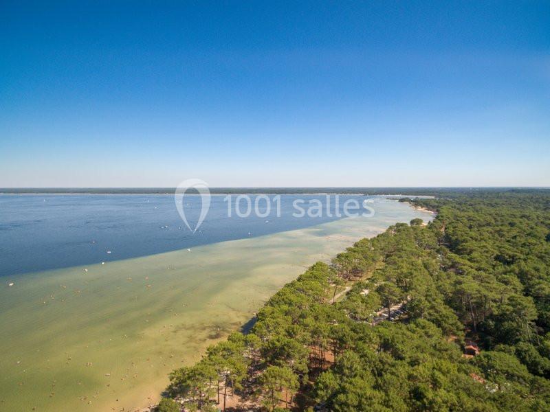 Vue aérienne d'une plage bordée de pins et d'une eau calme, avec des baigneurs et un horizon dégagé sous un ciel bleu.