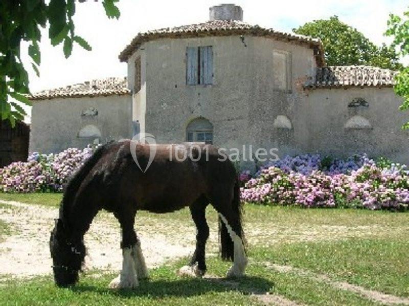 La Borderie - galerie - photo 17