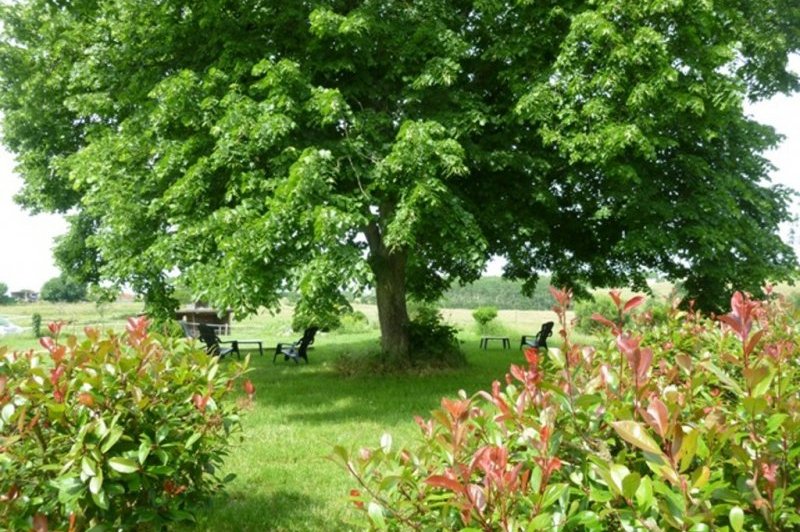 La Borderie - photo 5
