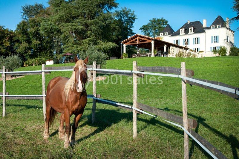 Domaine De La Fauconnie - galerie - photo 18