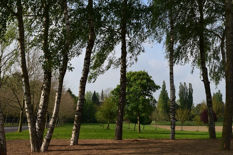 Domaine Les Hauts De Vertigneul - photo 5