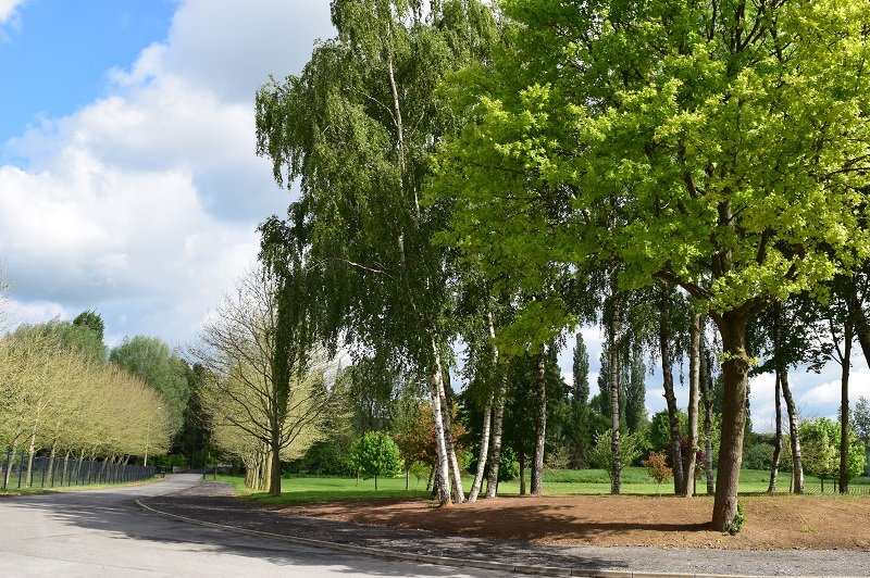 Domaine Les Hauts De Vertigneul - photo 2