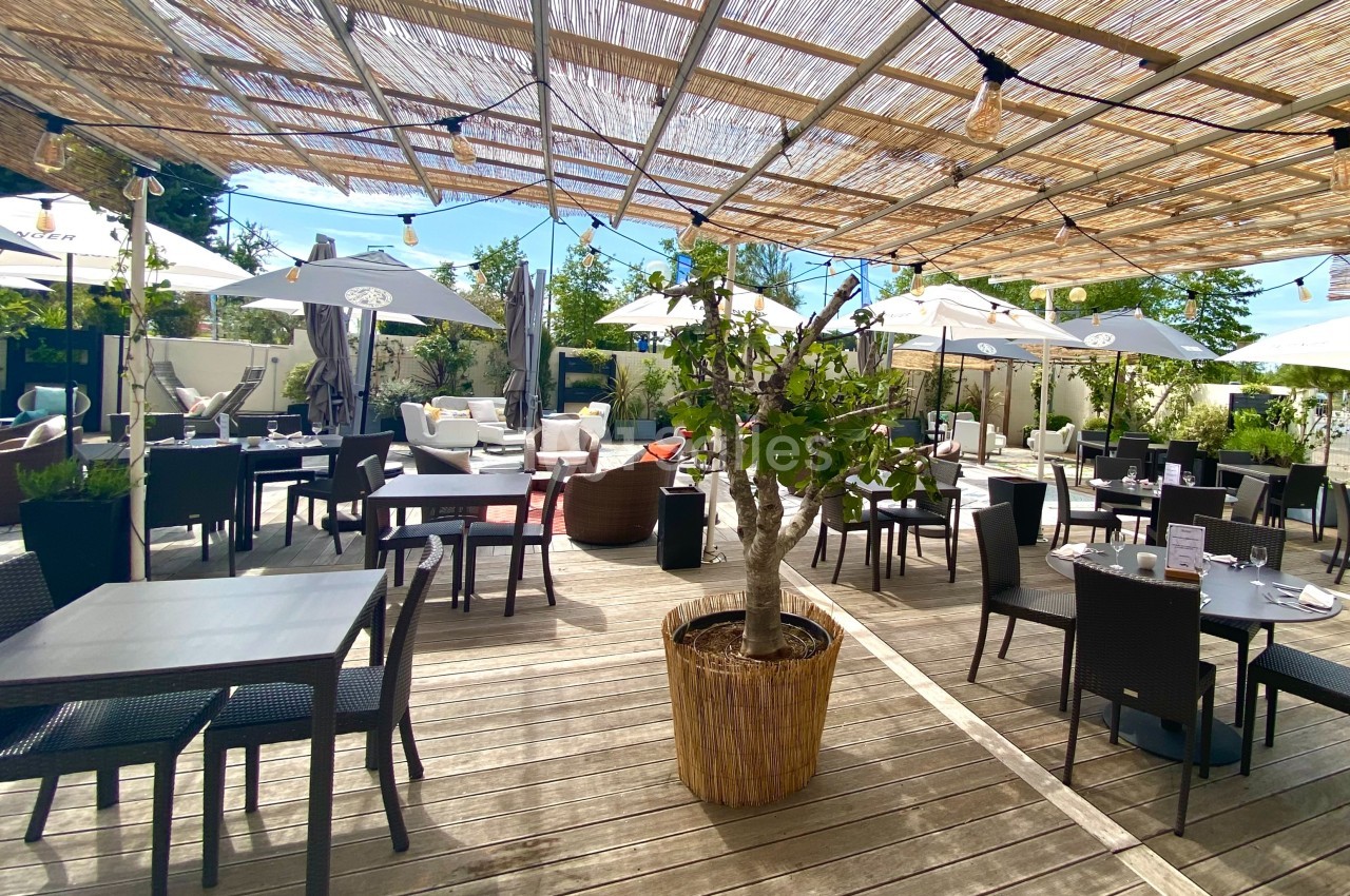 Terrasse ensoleillée avec tables et chaises noires, parasols blancs et un arbre en pot au centre.